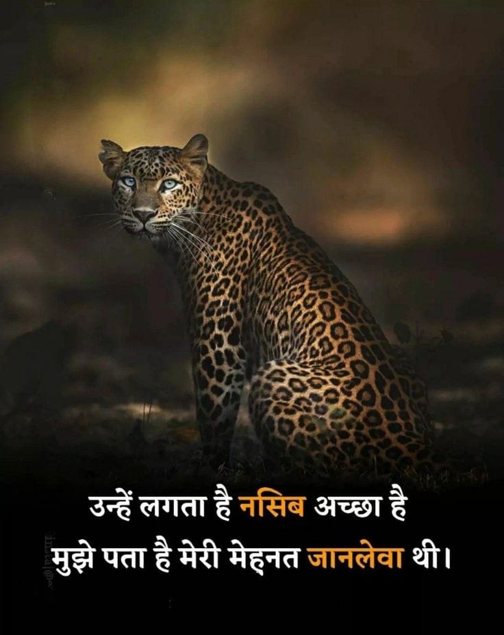 Pankaj Sir Motivational Shayari in Hindi