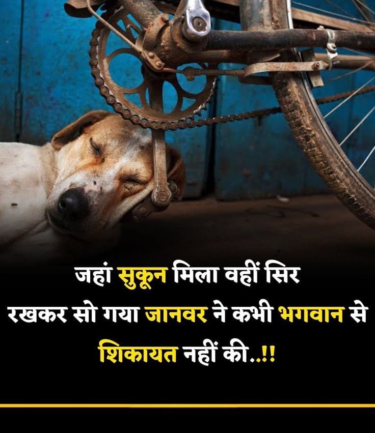 ____Life Motivational Shayari
