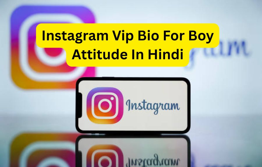 Bio For Instagram For Boy Attitude In Hindi